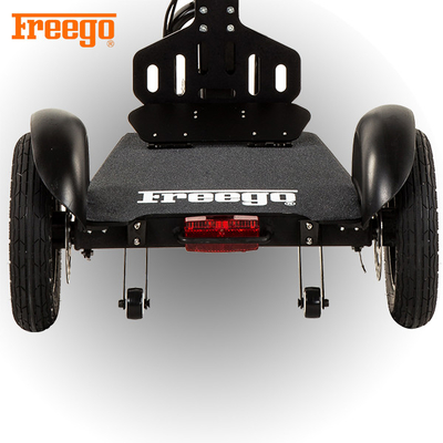 Freego-Solo patentierte den 3 Rad-elektrischen Roller mit Seat für alte persönliche Transporter