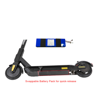 Tragbare Ion Battery For Electric Scooter-CER-FCC-Zustimmung des Lithium-13v 18650