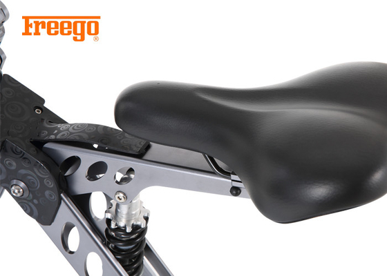 Scoot leichtes faltbares elektrisches Fahrrad 250W/Aufladezeit e-Fahrrad-3-4h